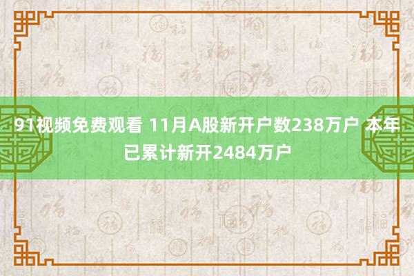 91视频免费观看 11月A股新开户数238万户 本年已累计新开2484万户